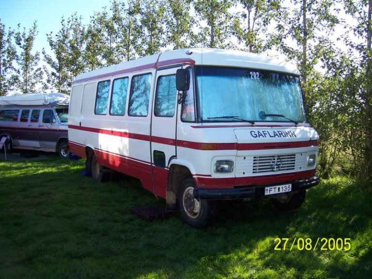Mynd 31