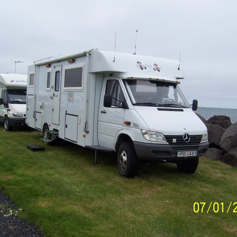 Mynd 31