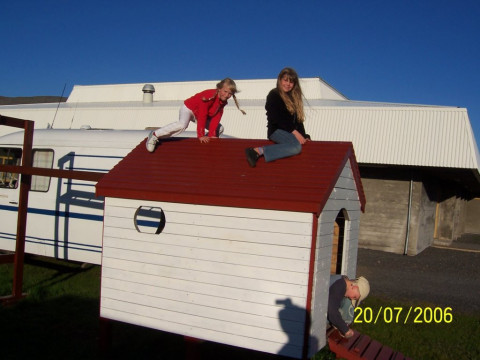Mynd 259