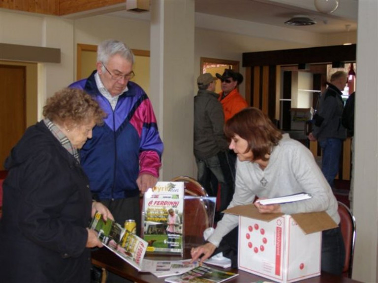 Mynd 41