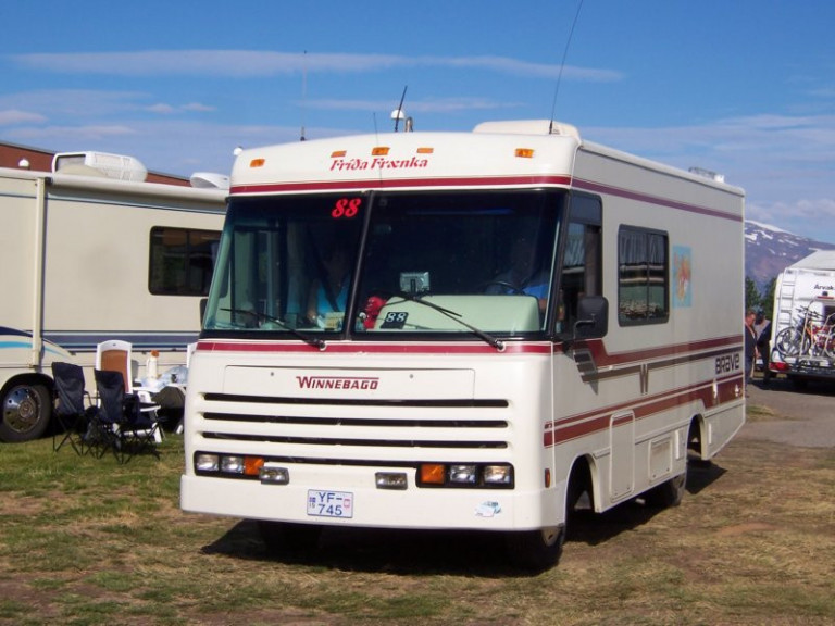 Mynd 310