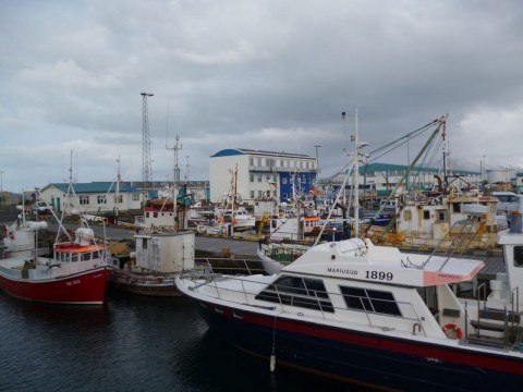 Mynd 46