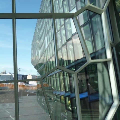 Mynd 113