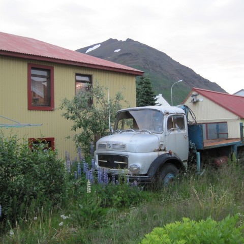 Mynd 11