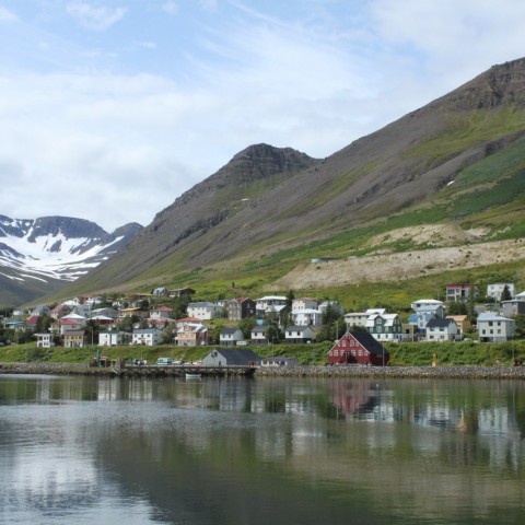 Mynd 16