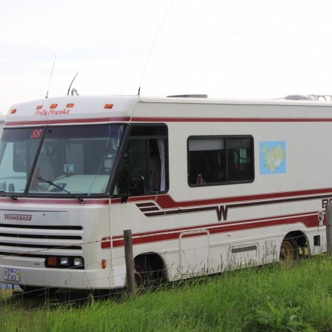 Mynd 10